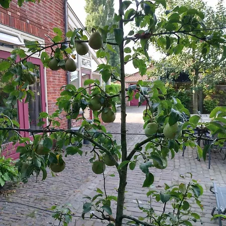 Bed Op De Reth B&B *