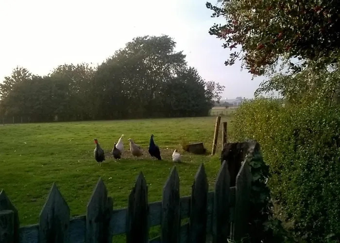 Bed and Breakfast Bed Op De Reth 3*