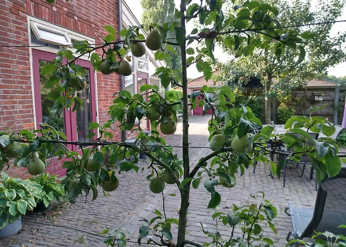 Bed Op De Reth Bed & Breakfast 3*