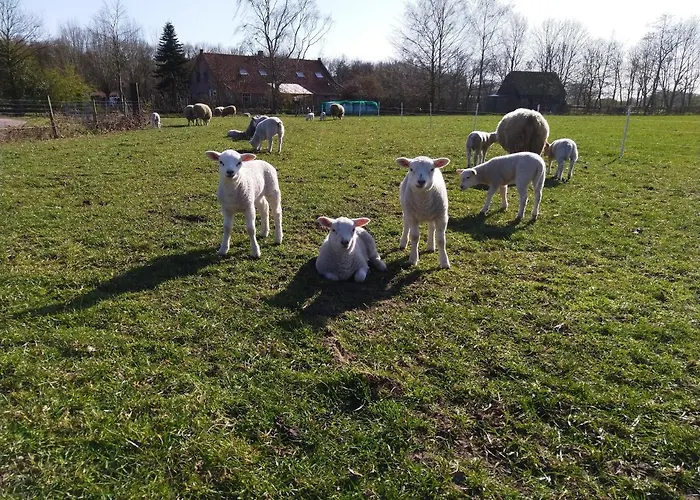 Bed Op De Reth Bed and Breakfast 3*