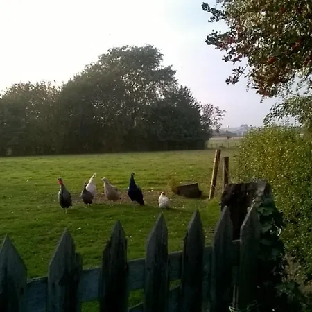 ベッド・アンド・ブレックファスト Bed Op De Reth 3*