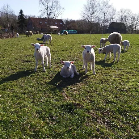 Bed Op De Reth ベッド・アンド・ブレックファスト 3*