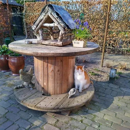 Panzió Bed Op De Reth Baarle-Nassau